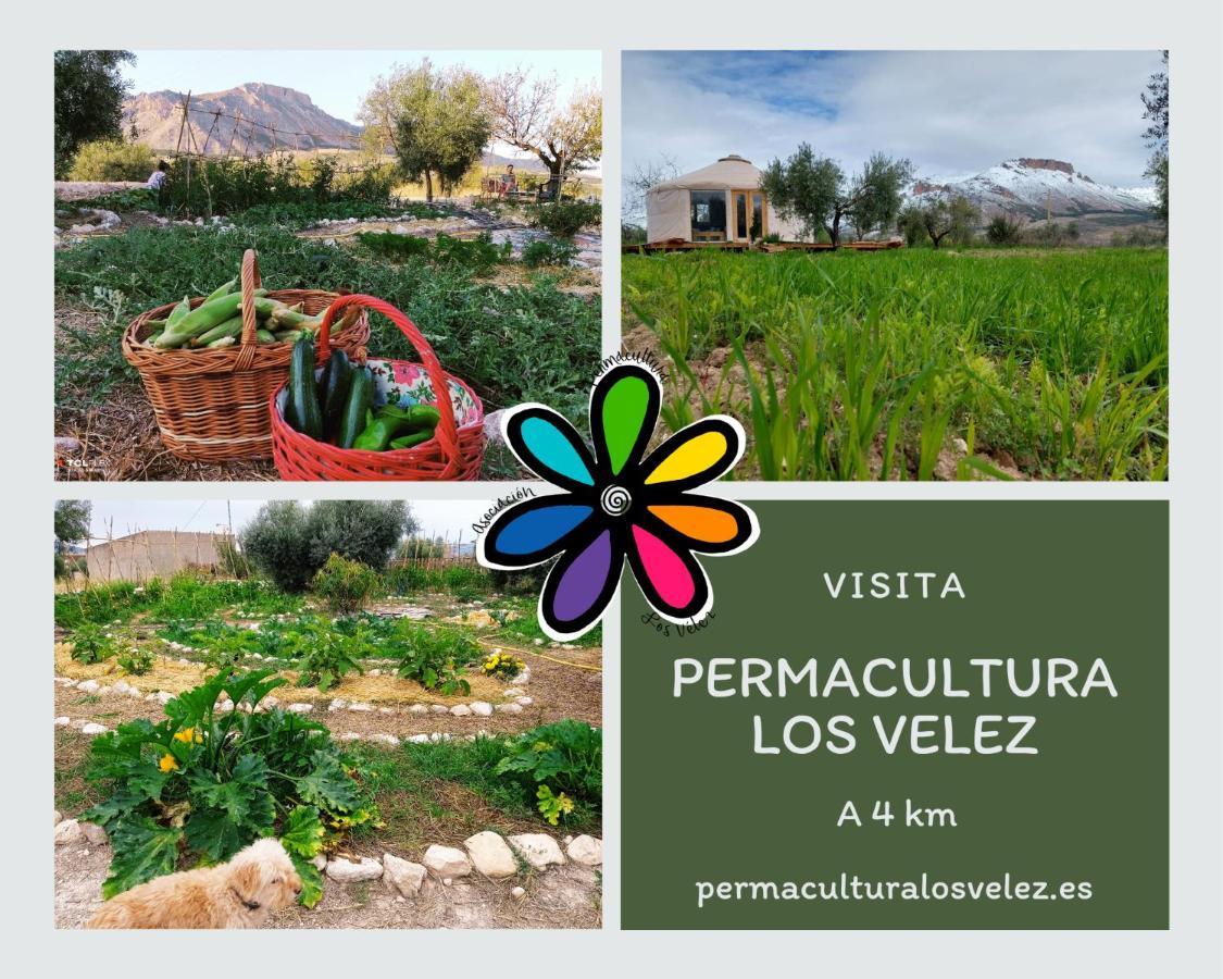 La Casa Viva. Alojamiento Responsable Y Sostenible. Велес-Бланко Экстерьер фото